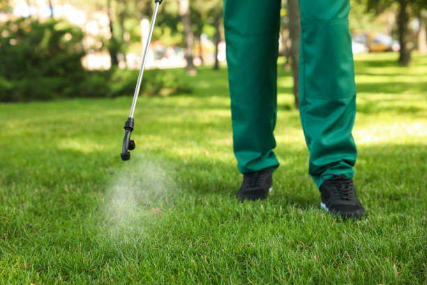 Best Pest Control Near Me in Finneytown, OH