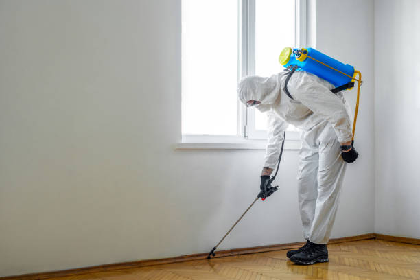 Best Pest Prevention Services  in Finneytown, OH