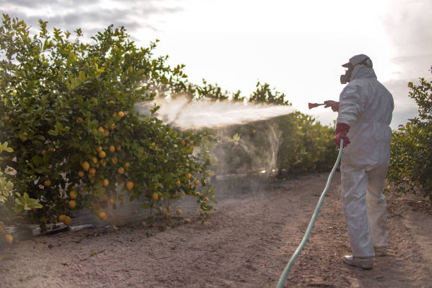 Best Best Pest Control Companies  in Finneytown, OH