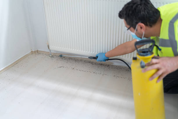 Best Pest Inspection Near Me  in Finneytown, OH